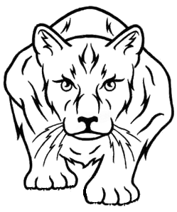 <span style="font-weight: bold; font-style: italic;">MIZTLI A.C.</span>