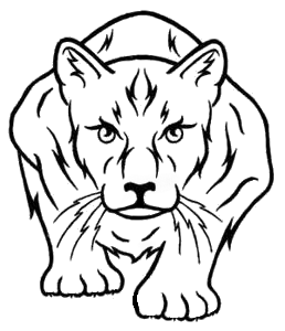 <span style="font-weight: bold; font-style: italic;">MIZTLI A.C.</span>